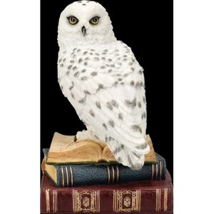 Veronese Owl Figurine - Snowy Owl - Magic Decor - 17cm Veronese Owl Figurine - Snowy Owl - Magic Decor - 17cm