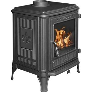 HEATHUS Castor 85 Gusseisen Holzofen - Kamin mit Panorama Glas HEATHUS Castor 85 Gusseisen Holzofen - Kamin mit Panorama Glas