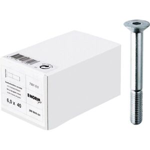 E-NORMpro Vite a testa esagonale M5 x 40 zincata - 200 pezzi E-NORMpro Vite a testa esagonale M5 x 40 zincata - 200 pezzi