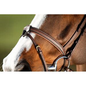 Bridon anatomique HFI - Bridon pour cheval - Publicité Bridon anatomique HFI - Bridon pour cheval - Publicité