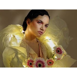 Canon RF 35mm f/1.8 Macro - objectifs pour appareils photo Canon RF 35mm f/1.8 Macro - objectifs pour appareils photo