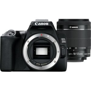 Canon EOS 250D - Kit 18-55mm IS STM - digital cameras Canon EOS 250D - Kit 18-55mm IS STM - digital cameras