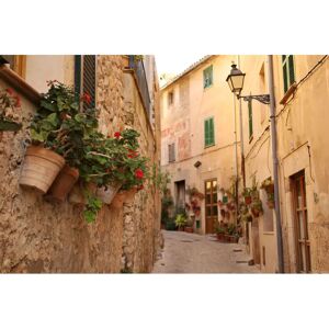 Canon RF 24-105mm F4-7.1 IS STM Lens - Full-Frame Camera Lens Canon RF 24-105mm F4-7.1 IS STM Lens - Full-Frame Camera Lens