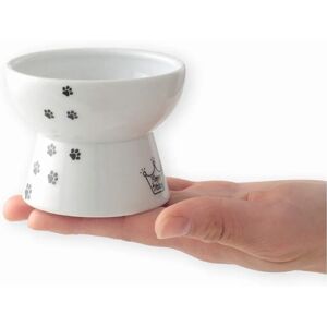 Bol pour chat Necoichi surélevé - Confortable, élégant et fonctionnel - Publicité Bol pour chat Necoichi surélevé - Confortable, élégant et fonctionnel - Publicité