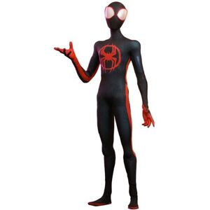 Hot Toys Miles Morales Spider-Man Across The Spider Verse Deluxe Action Figure Hot Toys Miles Morales Spider-Man Across The Spider Verse Deluxe Action Figure