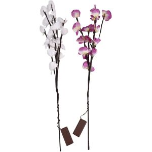 MSI Modern Am242 1M-1252X - PC Tutto in Uno MSI Modern Am242 1M-1252X - PC Tutto in Uno