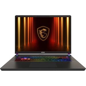 MSI Vector 17 HX AI A2XWIG-040 - Laptop - Grau MSI Vector 17 HX AI A2XWIG-040 - Laptop - Grau