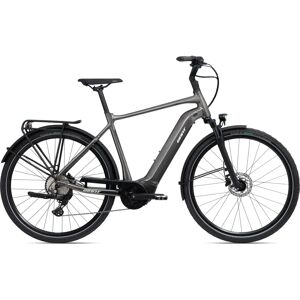 Giant E+ 2 D Grau Aluminium - E-Bike Giant E+ 2 D Grau Aluminium - E-Bike