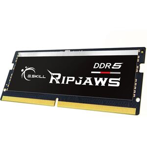 G.Skill Ripjaws F5-4800S4039A16GX1-RS 16 GB DDR5 RAM - Memory Module G.Skill Ripjaws F5-4800S4039A16GX1-RS 16 GB DDR5 RAM - Memory Module