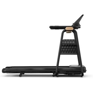 HORIZON FITNESS Citta TT5.1 - Verstellbares Laufband HORIZON FITNESS Citta TT5.1 - Verstellbares Laufband