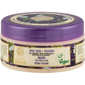 Natura Siberica Hair Mask for Weak Hair - Organic Siberian Pine Hydrosol & Proteins Natura Siberica Hair Mask for Weak Hair - Organic Siberian Pine Hydrosol & Proteins