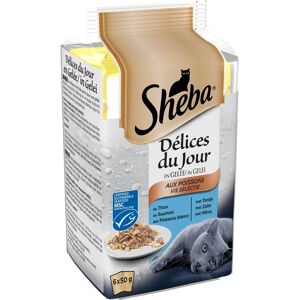 Sheba Vis Gel voor Katten - 6 x 50 g Verpakking - Dieren Gelbehandeling Sheba Vis Gel voor Katten - 6 x 50 g Verpakking - Dieren Gelbehandeling