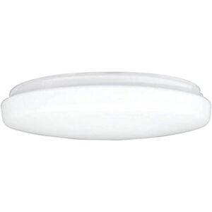 Vetro ventilatore a soffitto Alloy Westinghouse - 78764 / 73058 Vetro ventilatore a soffitto Alloy Westinghouse - 78764 / 73058