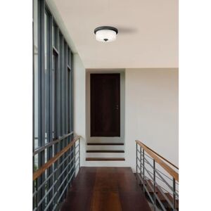 Westinghouse Cedric Black Ceiling Light - Ceiling Light Westinghouse Cedric Black Ceiling Light - Ceiling Light