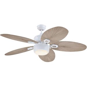 Westinghouse White Oasis Outdoor Ceiling Fan - Ceiling Fan Westinghouse White Oasis Outdoor Ceiling Fan - Ceiling Fan