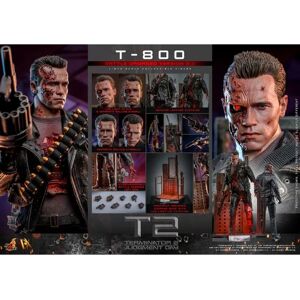 Hot Toys Arnold T-800 Battle Damaged Action Figure - 32cm Hot Toys Arnold T-800 Battle Damaged Action Figure - 32cm