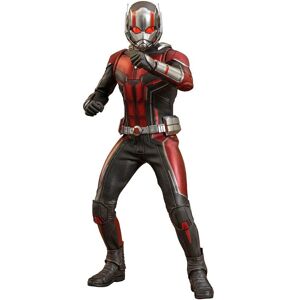 Hot Toys Ant-Man & Wasp 1/6 Scale Action Figure - Marvel Hot Toys Ant-Man & Wasp 1/6 Scale Action Figure - Marvel