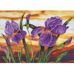 Diamond Dotz Sunset Iris - 52x37 cm - Gevorderd diamond painting pakket - irissen & zonsondergang Diamond Dotz Sunset Iris - 52x37 cm - Gevorderd diamond painting pakket - irissen & zonsondergang