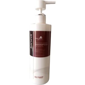 Shampoing Maca Essence 500ml - Nourrissant pour Cheveux Secs - Publicité Shampoing Maca Essence 500ml - Nourrissant pour Cheveux Secs - Publicité