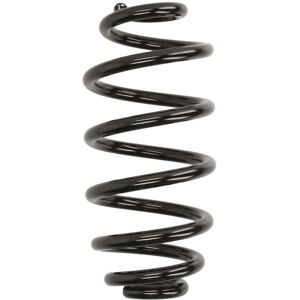 KYB RH6575 Suspension Spring - Audi A4 B6 KYB RH6575 Suspension Spring - Audi A4 B6