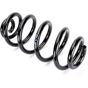 Molla sospensione KYB RH6746 per Audi A6 C6 Molla sospensione KYB RH6746 per Audi A6 C6