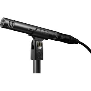 Audio Technica AT2031 Large Diaphragm Microphone - Microphone for String Instruments Audio Technica AT2031 Large Diaphragm Microphone - Microphone for String Instruments