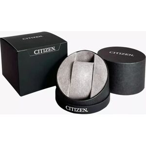 Citizen CA0080-54E Citizen CA0080-54E
