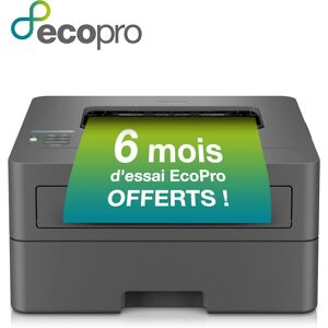 Brother HL-L2400DWE Mono Laser Printer - Wi-Fi - 1200x1200 DPI Brother HL-L2400DWE Mono Laser Printer - Wi-Fi - 1200x1200 DPI