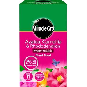 Miracle-Gro Azalea Camellia Rhododendron Plant Food - 1kg, Pack 12 Miracle-Gro Azalea Camellia Rhododendron Plant Food - 1kg, Pack 12