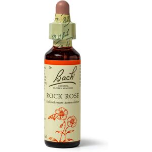 Bach Bach Rock Rose 20ml - Blomstermedisin Bach Bach Rock Rose 20ml - Blomstermedisin