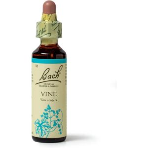 Bach Original Flower Remedies Vinen 20ml - Blomstermidler Bach Original Flower Remedies Vinen 20ml - Blomstermidler