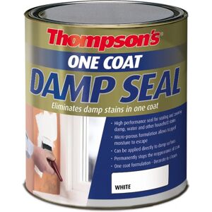 Ronseal Thompson's One Coat Damp Seal - Paint and Sealant Ronseal Thompson's One Coat Damp Seal - Paint and Sealant