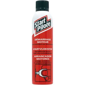Holts Liquide de Démarrage - Acier Inoxydable - 300ml - Liquide de Démarrage - Publicité Holts Liquide de Démarrage - Acier Inoxydable - 300ml - Liquide de Démarrage - Publicité