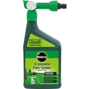 Miracle-Gro Evergreen Fast Green Lawn Food - Lawn Food Miracle-Gro Evergreen Fast Green Lawn Food - Lawn Food