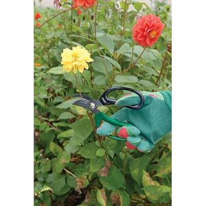 Draper Garden Scissors Twin Pack - Precision Pruning Floristry Draper Garden Scissors Twin Pack - Precision Pruning Floristry