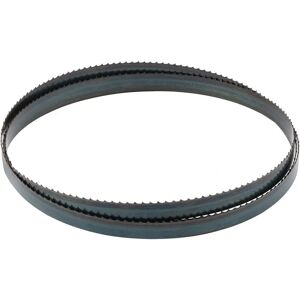 Draper 45924 Bandsaw Blade - 2560mm, 4 skip Draper 45924 Bandsaw Blade - 2560mm, 4 skip