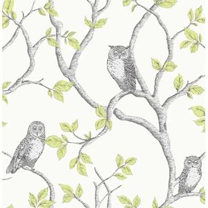 Fine Decor Woodland Owls Wallpaper - Green - Wallpaper Fine Decor Woodland Owls Wallpaper - Green - Wallpaper