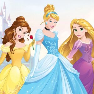 Graham & Brown Disney Princess Mural Wallpaper - Wall Decor for Kids Graham & Brown Disney Princess Mural Wallpaper - Wall Decor for Kids