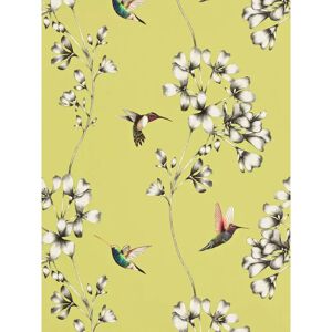 Harlequin Amazilia Wallpaper - Gooseberry - Wallpaper Harlequin Amazilia Wallpaper - Gooseberry - Wallpaper