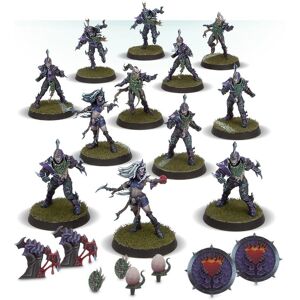 Games Workshop Naggaroth Nightmares - Dark Elf Team for Blood Bowl Games Workshop Naggaroth Nightmares - Dark Elf Team for Blood Bowl