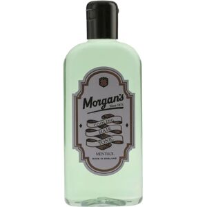 Morgan's Menthol Kylvä Hiustenhoito - Hiustenhoitoa Miehille 250ml Morgan's Menthol Kylvä Hiustenhoito - Hiustenhoitoa Miehille 250ml
