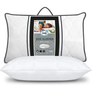 Sealy Brand Model Support Pillow - Pillow Sealy Brand Model Support Pillow - Pillow