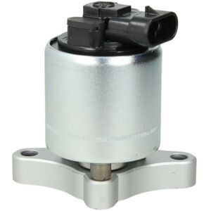 Delphi EG10003-12B1 EGR-ventil - EGR Delphi EG10003-12B1 EGR-ventil - EGR