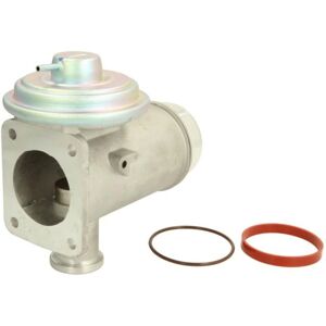 Delphi EG10466-12B1 EGR-venttiili - EGR-venttiili Delphi EG10466-12B1 EGR-venttiili - EGR-venttiili
