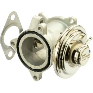 Delphi EG10508-12B1 EGR-venttiili - EGR Valve Delphi EG10508-12B1 EGR-venttiili - EGR Valve