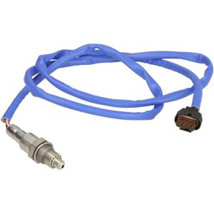 Delphi ES21123-12B1 Lambdasensori - Pintamainen, lämmitetty Ford Focus III, Kuga, C-Max Delphi ES21123-12B1 Lambdasensori - Pintamainen, lämmitetty Ford Focus III, Kuga, C-Max