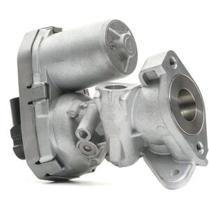 Delphi EG10399-12B1 EGR-venttiili - For Ford, Fiat, Peugeot Delphi EG10399-12B1 EGR-venttiili - For Ford, Fiat, Peugeot