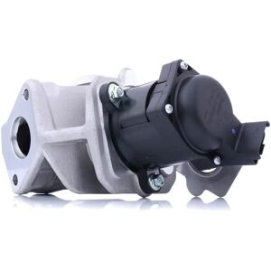 Delphi EG10415-12B1 Elektrische EGR Ventiel - Uitlaatgasrecirculatie Delphi EG10415-12B1 Elektrische EGR Ventiel - Uitlaatgasrecirculatie
