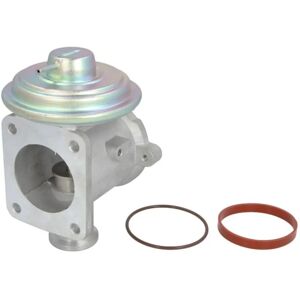 Delphi EG10433-12B1 EGR-venttiili - BMW 1 3 5 7 X3 X5 X6 Delphi EG10433-12B1 EGR-venttiili - BMW 1 3 5 7 X3 X5 X6