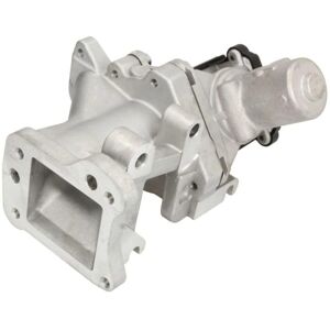 Delphi EG10437-12B1 EGR-venttiili - Pakokaasujen kierrätys Delphi EG10437-12B1 EGR-venttiili - Pakokaasujen kierrätys
